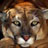 صورة عضوية nizwa lion