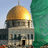 صورة عضوية الحزين
